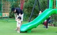 NHỮNG NGÀY HÈ CỦA KHỐI “1/6” TRONG VƯỜN XANH ECOGARDEN